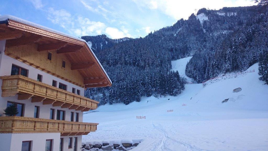 Apart Geisler Mayrhofen Cameră foto